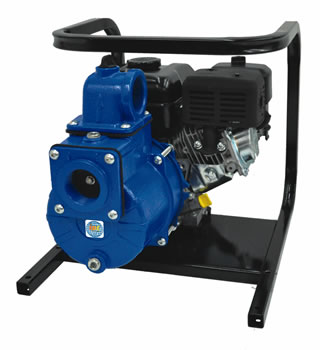 IPT Model 2G5XQCR 2” Solids Pump | 182 GPM
